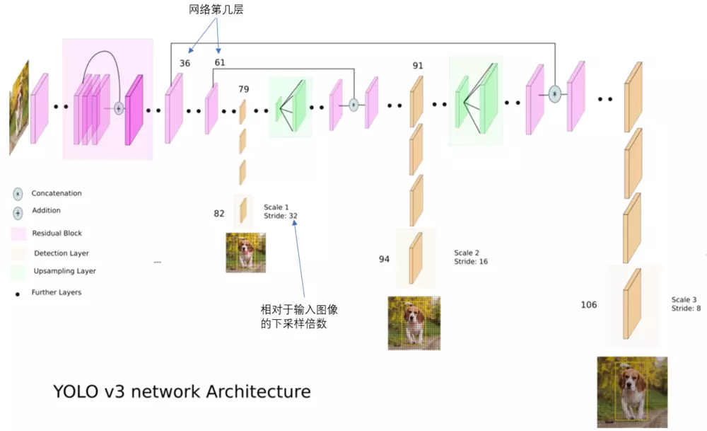 YOLO v3 network Architecture